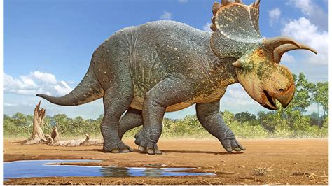 Select a dinosaurs illustration for free download. Amazing illustration images for your next project. Download stunning royalty-free images about Dinosaurs. Royalty-free No attribution required . 